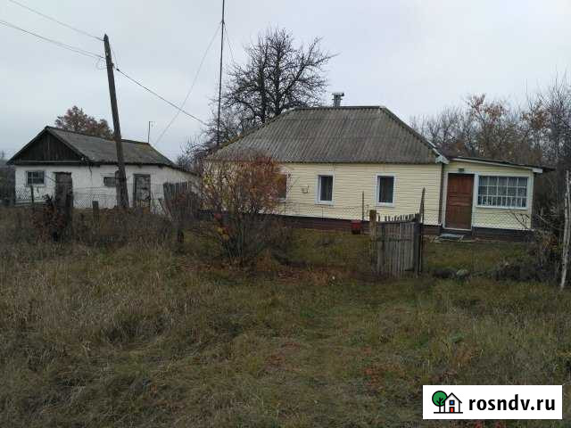 Дом 45 м² на участке 26 сот. на продажу в Касторном Касторное - изображение 1