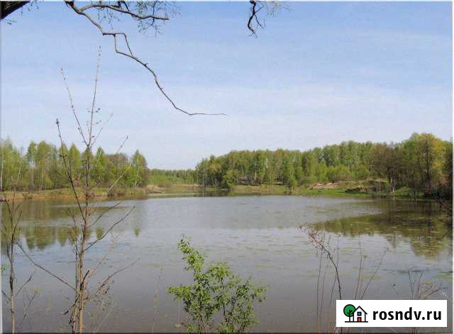 Участок ИЖС 12 сот. на продажу в Любучанах Любучаны - изображение 1