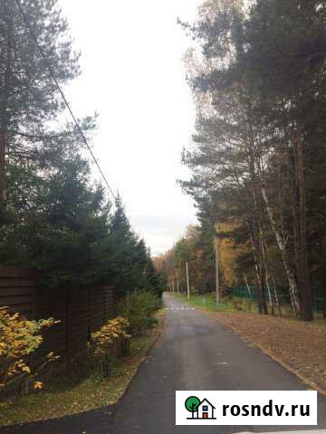 Участок СНТ, ДНП 6 сот. на продажу в Правдинском Правдинский - изображение 1