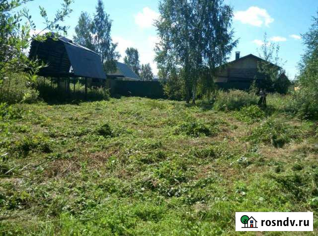 Участок СНТ, ДНП 6 сот. в аренду в Электрогорске Электрогорск - изображение 1