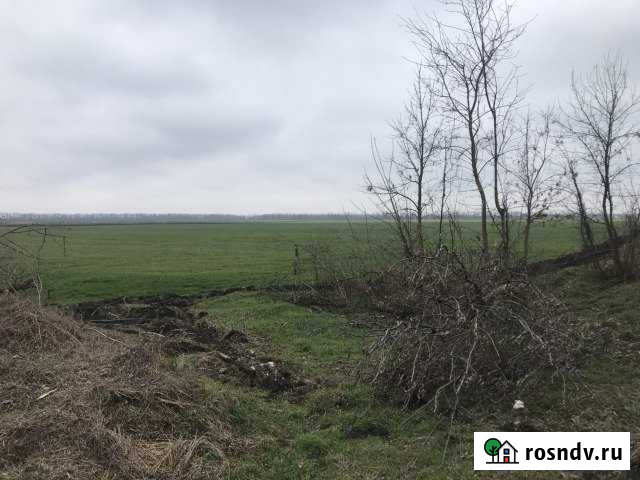 Участок СНТ, ДНП 260 сот. на продажу в Динской Динская - изображение 1