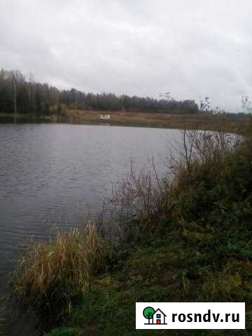 Участок СНТ, ДНП 10000 сот. на продажу в Игре Игра - изображение 1