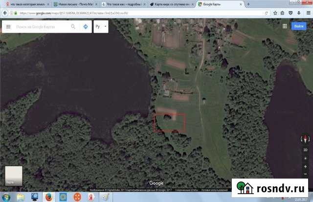 Участок СНТ, ДНП 35 сот. на продажу в Дедовичах Дедовичи - изображение 1