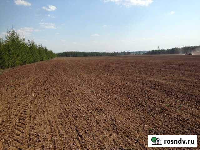 Участок СНТ, ДНП 150 сот. на продажу в Киясово Киясово - изображение 1