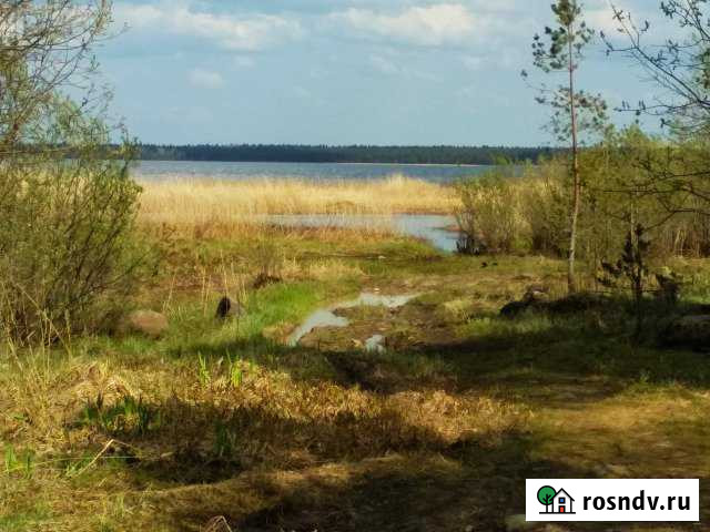 Участок ИЖС 25 сот. на продажу в Сясьстрое Сясьстрой - изображение 1