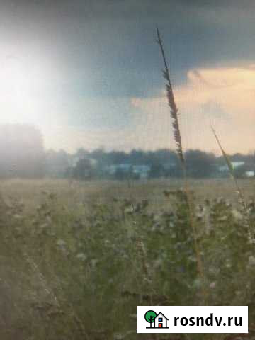 Участок СНТ, ДНП 380 сот. на продажу в Петровской Петровская - изображение 1