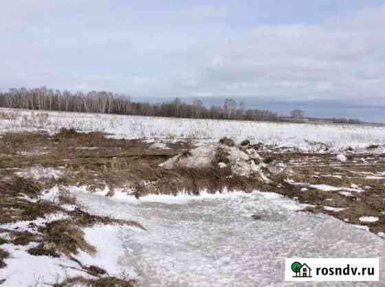 Участок СНТ, ДНП 520 сот. в аренду в Колывани Колывань