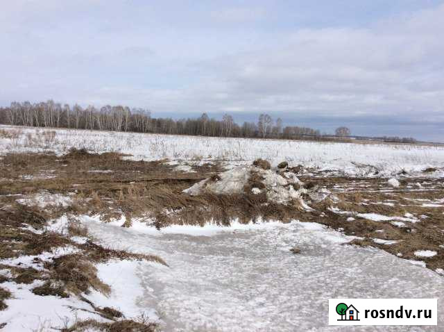 Участок СНТ, ДНП 520 сот. в аренду в Колывани Колывань - изображение 1