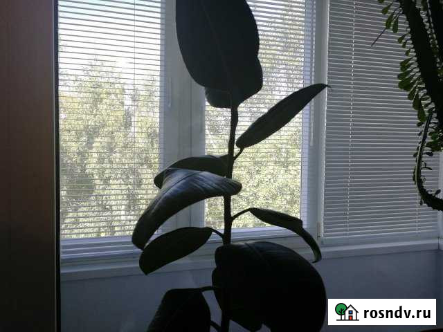 2-комнатная квартира, 45 м², 5/5 эт. на продажу в Безенчуке Безенчук - изображение 1