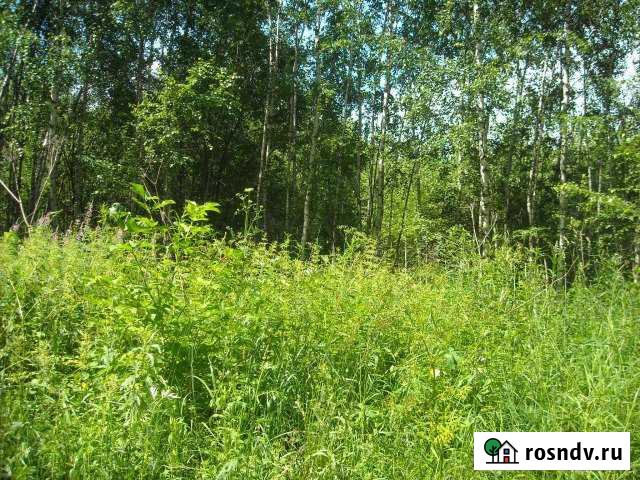 Участок СНТ, ДНП 7 сот. на продажу в Богородске Богородск - изображение 1