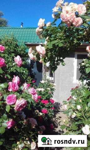 Дача 60 м² на участке 5 сот. на продажу в Краснослободске Волгоградской области Краснослободск - изображение 1