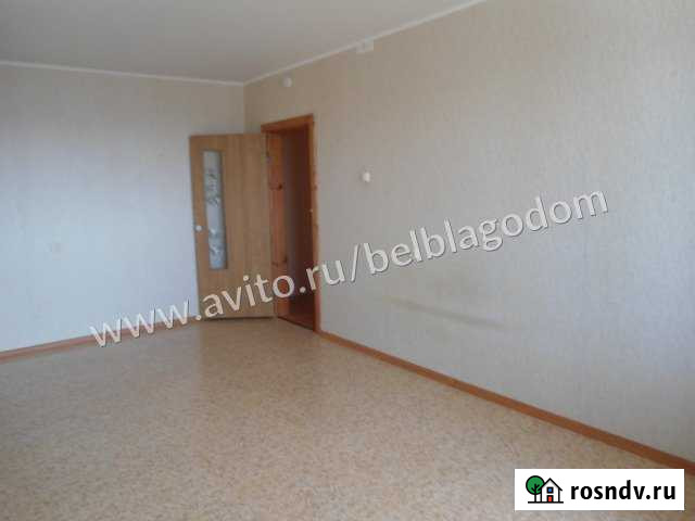 3-комнатная квартира, 72 м², 9/10 эт. на продажу в Строителе Белгородской области Строитель - изображение 1