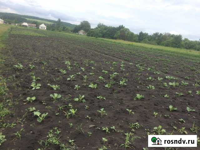 Дом 35 м² на участке 30 сот. на продажу в Маршале Жуковой Маршала Жукова - изображение 1