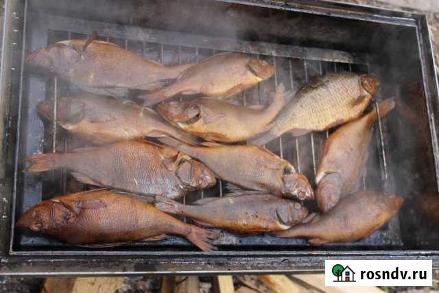 Дом 80 м² на участке 12 сот. в аренду посуточно в Тамбовке Астраханской области Тамбовка - изображение 1