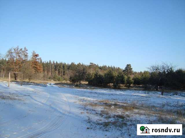 Участок промназначения 150 сот. на продажу в Воронеже Воронеж - изображение 1