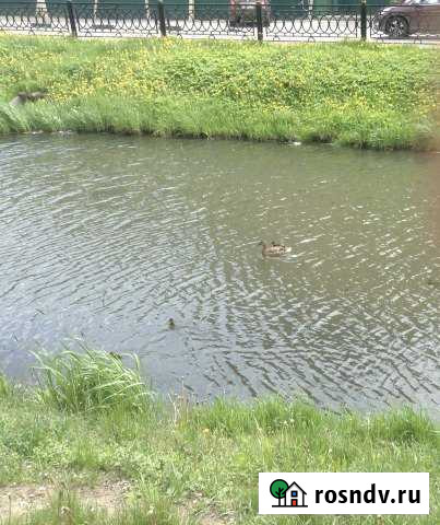 Квартира-студия, 25 м², 5/17 эт. на продажу в Дмитрове Дмитров - изображение 1