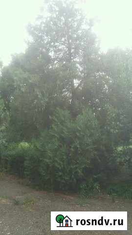 Дом 300 м² на участке 32 сот. на продажу в Великовечном Великовечное - изображение 1