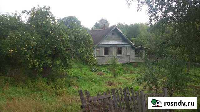 Дом 37 м² на участке 16 сот. на продажу в Сольцах Сольцы - изображение 1