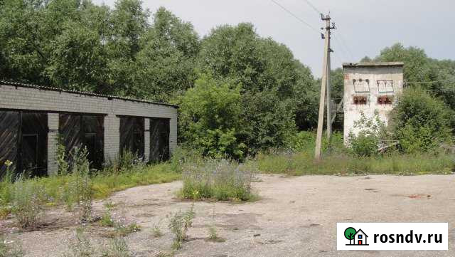 Участок промназначения 317 сот. в аренду в Шацке Шацк - изображение 1