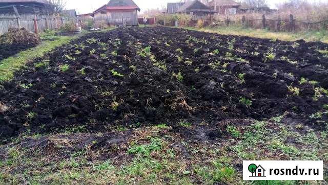 Дача 40 м² на участке 10 сот. на продажу в Гамово Гамово - изображение 1