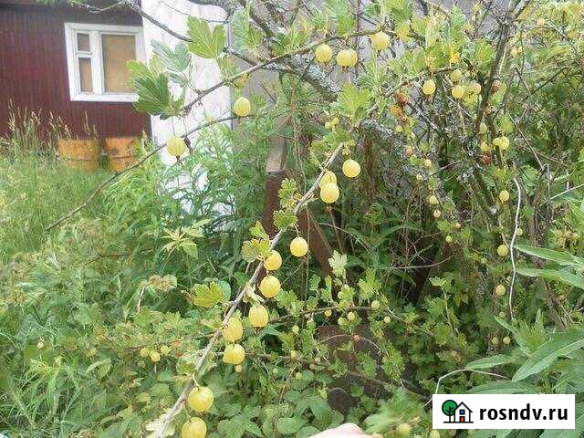 Дача 20 м² на участке 6 сот. на продажу в Лобне Лобня - изображение 1