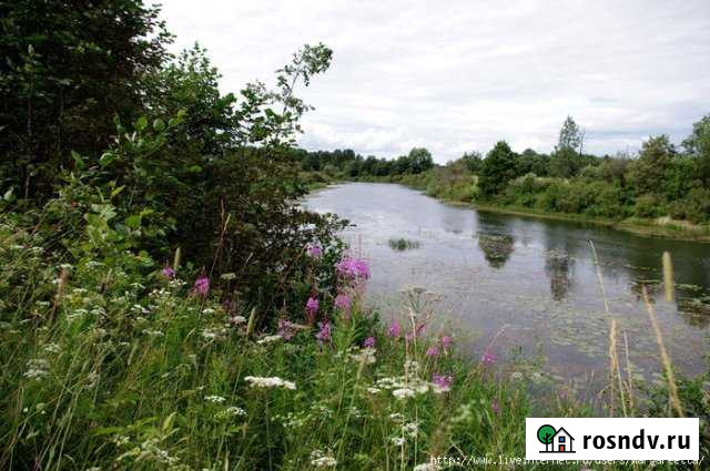 Участок ИЖС 28 сот. на продажу в Куменах Кумены - изображение 1