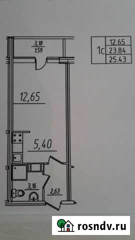 Квартира-студия, 23 м², 3/15 эт. на продажу в Никольском Ленинградской области Никольское - изображение 1