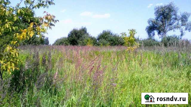 Участок ИЖС 22 сот. на продажу в Шилово Шилово - изображение 1