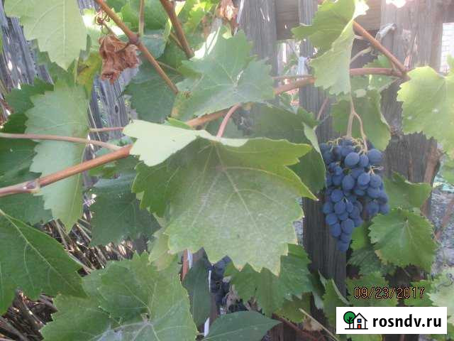 Участок СНТ, ДНП 6 сот. на продажу в Волжском Волгоградской области Волжский - изображение 1