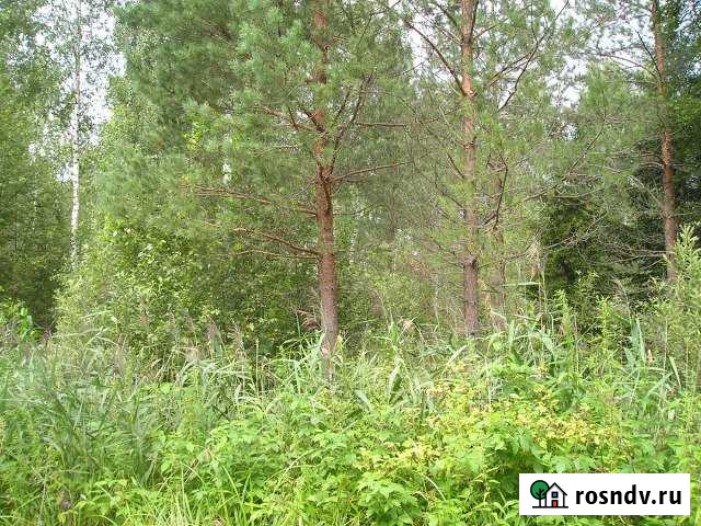 Участок СНТ, ДНП 10 сот. на продажу в Решетниково Решетниково - изображение 1