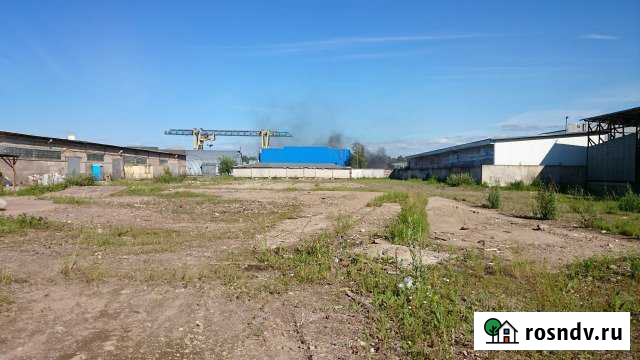 Участок промназначения 50 сот. в аренду в Новом Девяткино Новое Девяткино - изображение 1