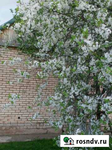 Дом 105 м² на участке 17 сот. на продажу в Гдове Гдов - изображение 1