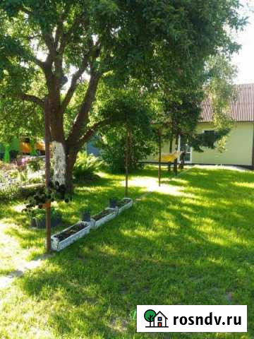 Дом 30 м² на участке 40 сот. в аренду посуточно в Светлогорске Светлогорск - изображение 1