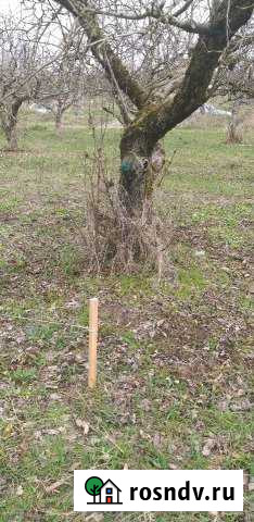 Участок ИЖС 20 сот. на продажу в Шалушке Шалушка - изображение 1