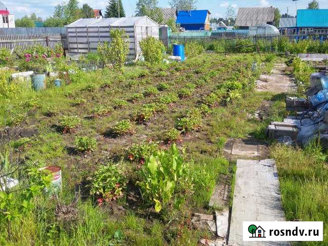 Дача 36 м² на участке 12 сот. на продажу в Пыть-Яхе Пыть-Ях - изображение 1