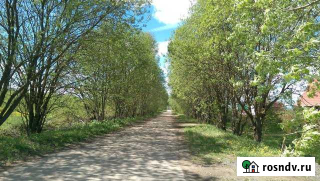 Участок ИЖС 60 сот. на продажу в Решетниково Решетниково - изображение 1