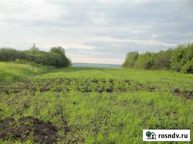 Участок ИЖС 63 сот. на продажу в Спасском Нижегородской области Спасское - изображение 1