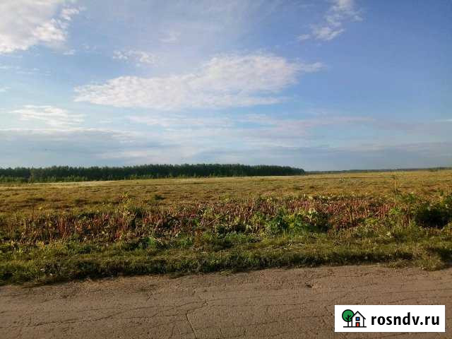 Участок СНТ, ДНП 530 сот. на продажу в Коврове Ковров - изображение 1