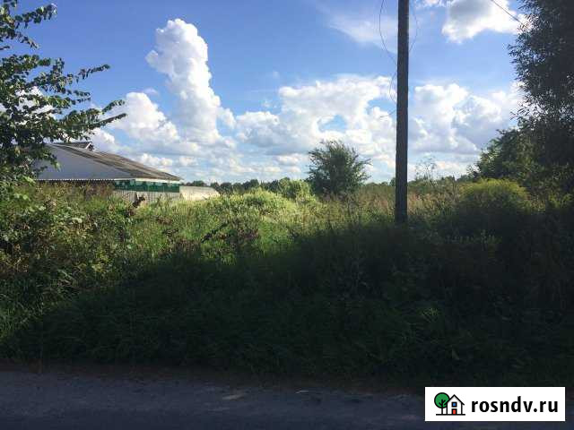 Участок ИЖС 31 сот. на продажу в Выгоничах Выгоничи - изображение 1