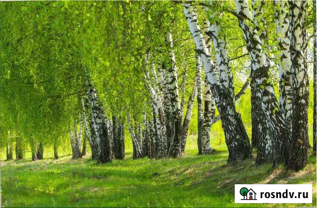 Участок ИЖС 14 сот. на продажу в Пролетарском Московской области Пролетарский - изображение 1