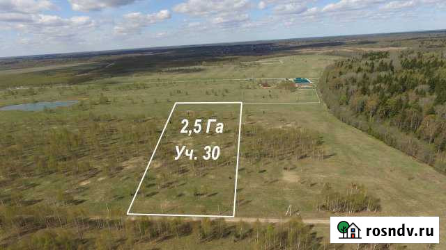 Участок СНТ, ДНП 250 сот. на продажу в Талдоме Талдом - изображение 1