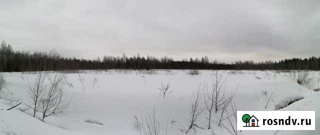 Участок ИЖС 270 сот. на продажу в Сертолово Сертолово - изображение 1