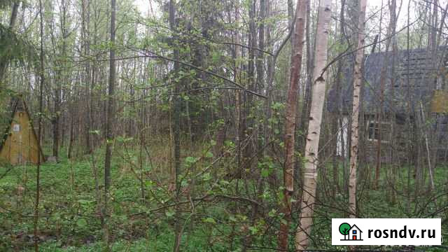 Участок СНТ, ДНП 12 сот. на продажу в Любане Любань - изображение 1