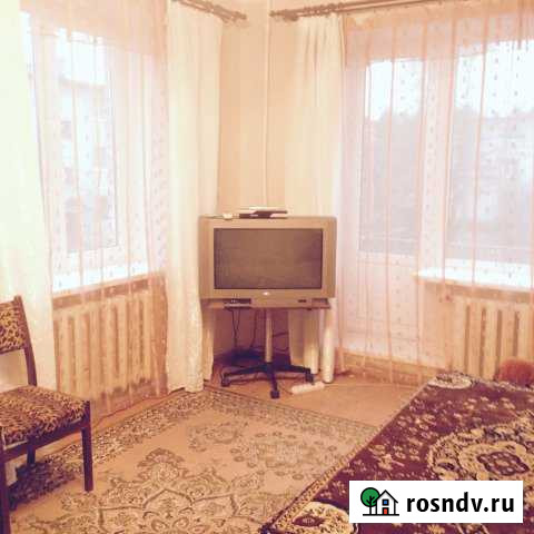 2-комнатная квартира, 48 м², 2/2 эт. в аренду на длительный срок в Сосново Сосново - изображение 1