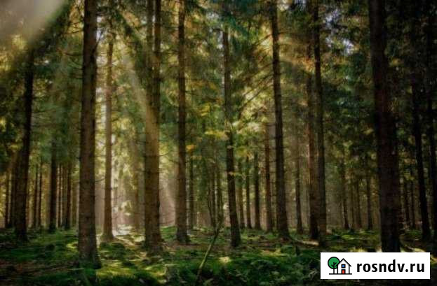 Участок ИЖС 11 сот. на продажу в Пересвете Пересвет - изображение 1