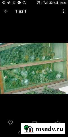 Дача 45 м² на участке 13 сот. на продажу в Усть-Илимске Усть-Илимск - изображение 1