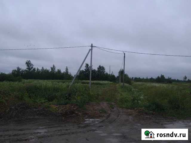 Участок ИЖС 10 сот. на продажу в Малом Верево Малое Верево - изображение 1