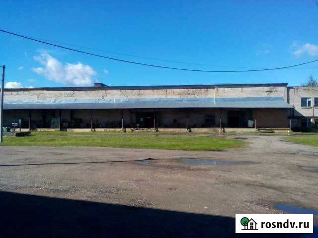 Складское помещение, 24486 кв.м. Кунья - изображение 1
