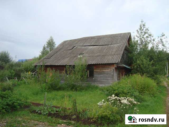 Участок СНТ, ДНП 5 сот. на продажу в Хохряках Хохряки - изображение 1