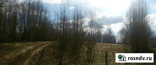 Участок ИЖС 30 сот. на продажу в Окуловке Окуловка - изображение 1